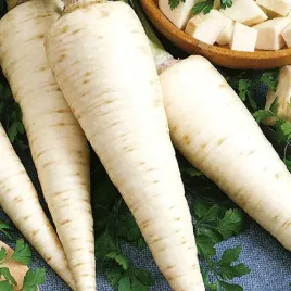 pietruszka-korzenna-vistula-srednio-wczesna-nasiona-5-g