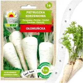 nasiona-warzyw-na-tasmie-pietruszka-olomuncka-6-m-pozna-250-nasion