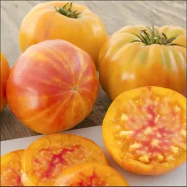 pomidor-gruntowy-wysoki-ananas-03g