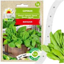 nasiona-warzyw-na-tasmie-szpinak-matador-zimujacy-w-gruncie-6m-250-nasion