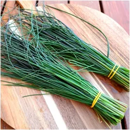 szczypiorek-praszka-zimujacy-w-gruncie-wieloletni-nasiona-2-g