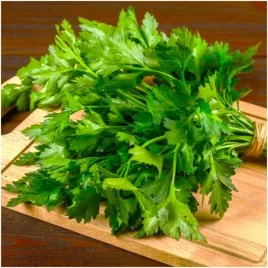 pietruszka-naciowa-fest-szybko-odrasta-caloroczna-nasiona-3-g