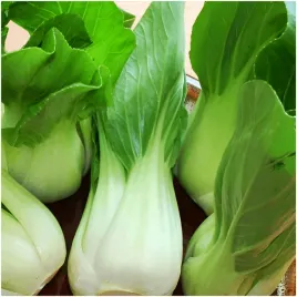 kapusta-chinska-pak-choi-smak-azji-w-twoim-domu-nasiona-1-g
