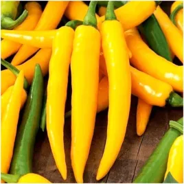 papryka-harvey-stozkowa-ostra-nasiona-015-g