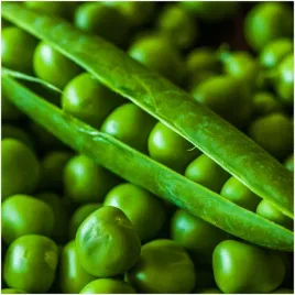 groch-cukrowy-ambrosia-bardzo-plenny-i-smaczny-nasiona-50-g