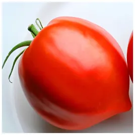 pomidor-oxheart-bawole-serce-ogromne-owoce-nasiona-05-g