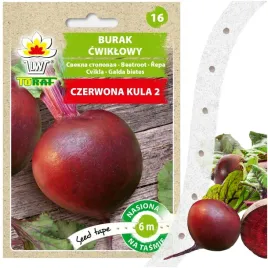 nasiona-warzyw-na-tasmie-burak-cwiklowy-czerwona-kula-6-m-soczysty-i-slodki