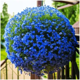 lobelia-zwisajaca-piekna-niebieska-kula-do-wiszacych-donic-nasiona-01-g