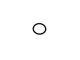 oring-przewodu-nagrzewnicy-kuga-c-max-focus-1342708-3m5h-19e889-da