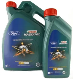 olej-castrol-magnatec-professional-5w-30-a5-5-1l