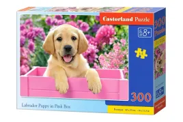 puzzle-300-el-labrador-puppy-in-pink-box