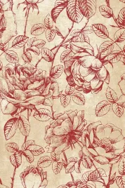 dywan-agnella-isfahan-rhode-bordo-80x120cm-brintons-agnella