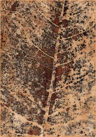 dywan-welniany-agnella-isfahan-paulus-miedziany-300x400cm-brintons-agnella