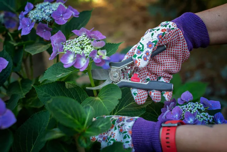 sekator-reczny-soft-touch-proline-40007-zasilanie-reczne