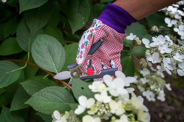 sekator-reczny-soft-touch-proline-40007-zasilanie-reczne-stan-nowy