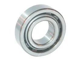 lozysko-walcowe-65x140x33-mm-ina-fag-nu313etvp2