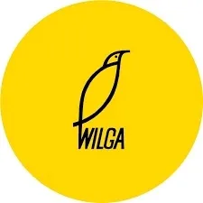 utracone-swiatlo-lightfall-tom-1-wilga