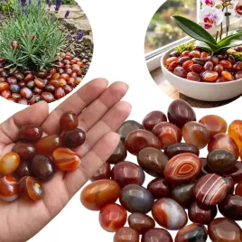 naturalne-kamienie-15-20mm-agat-czerwony-dekoracyjny-do-roslin-1kg