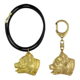 amerykanski-pitbulterier-pit-bull-american-pit-bull-terrier-pitbul-apbt