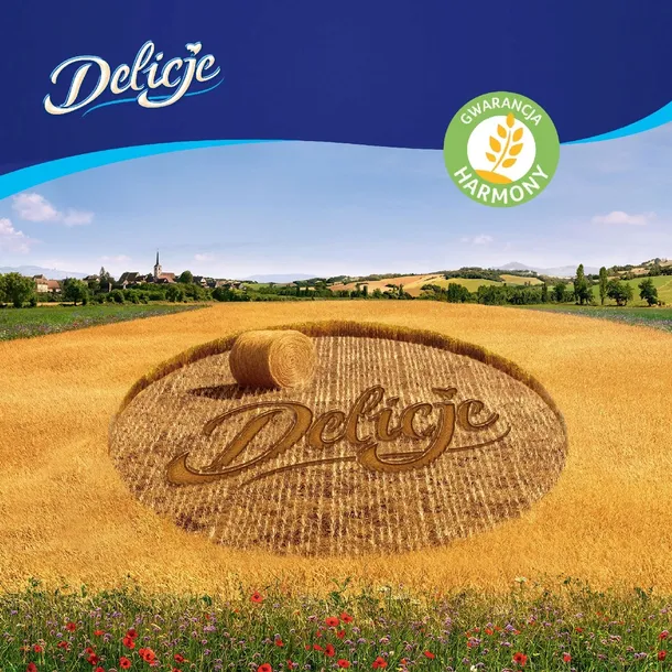 biszkopty-delicje-294-g-produkt-nie-zawiera-konserwantow