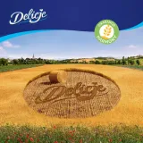 biszkopty-delicje-294-g-produkt-nie-zawiera-konserwantow