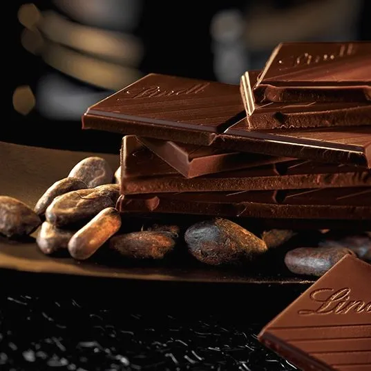 czekolada-gorzka-lindt-100-g-cechy-dodatkowe-brak