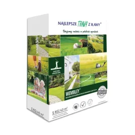 nasiona-trawy-na-tereny-sportowe-wembley-1kg-najlepsze-trawy-z-ilawy