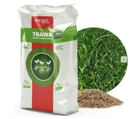 trawa-nasiona-uniwersalna-szybko-zageszczajaca-trawnik-odporna-10kg-400m2
