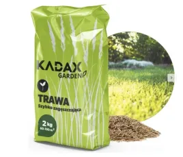 trawa-nasiona-uniwersalna-szybko-zageszczajaca-trawnik-odporna-2kg-80m2