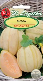melon-malaga-f1-nasiona-0-5g-w-legutko