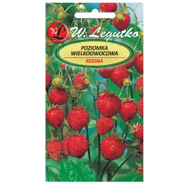 poziomka-regina-nasiona-w-legutko