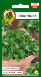 roszponka-warzywna-volhart-nasiona-tradycyjne-pnos
