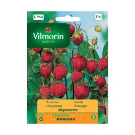 poziomka-mignonette-nasiona-vilmorin