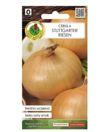 cebula-stuttgarter-riesen-nasiona-pnos