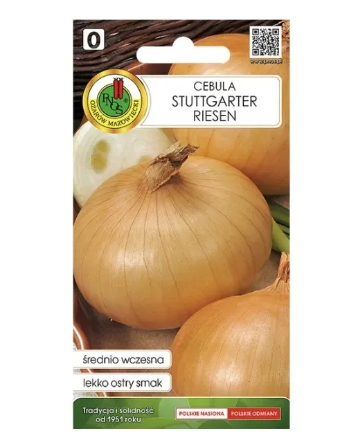 cebula-stuttgarter-riesen-nasiona-pnos