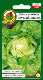 salata-maslowa-glowiasta-edyta-nasiona-pnos