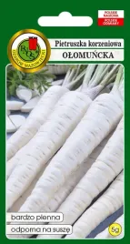 pietruszka-korzeniowa-olomuncka-nasiona-pnos