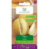 melon-ananas-nasiona-w-legutko