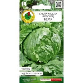 salata-glowiasta-krucha-beata-nasiona-pnos