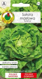 salata-maslowa-glowiasta-syrena-nasiona-tradycyjne-pnos