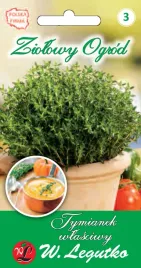 tymianek-wlasciwy-nasiona-tradycyjne-w-legutko