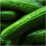 ogorek-szklarniowy-1kg-rodzaj-rosliny-ogorek