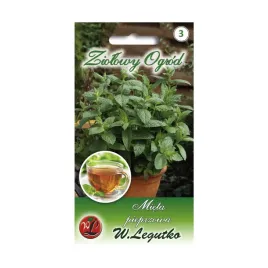 mieta-pieprzowa-lekarska-nasiona-tradycyjne-w-legutko