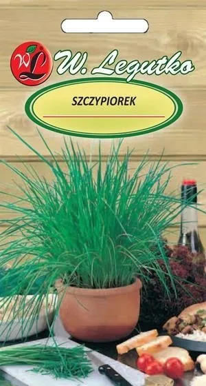 szczypiorek-medium-leaf-nasiona-w-legutko-marka-w-legutko