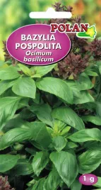 bazylia-wlasciwa-nasiona-tradycyjne-w-legutko