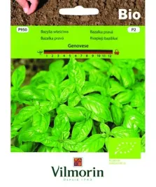 bazylia-wlasciwa-bio-genovese-nasiona-ekologiczne-vilmorin