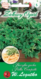bazylia-wlasciwa-nasiona-w-legutko