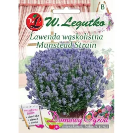 lawenda-waskolistna-0-2g-w-legutko