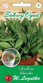 szalwia-lekarska-nasiona-tradycyjne-w-legutko