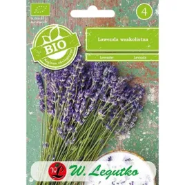 lawenda-waskolistna-0-2g-w-legutko